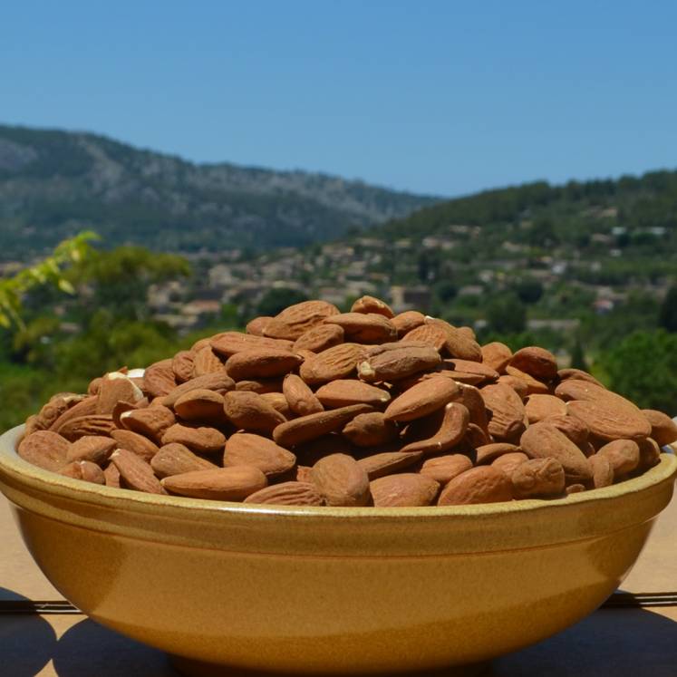 Camp Mallorquí Organic unpeeled almond 500g