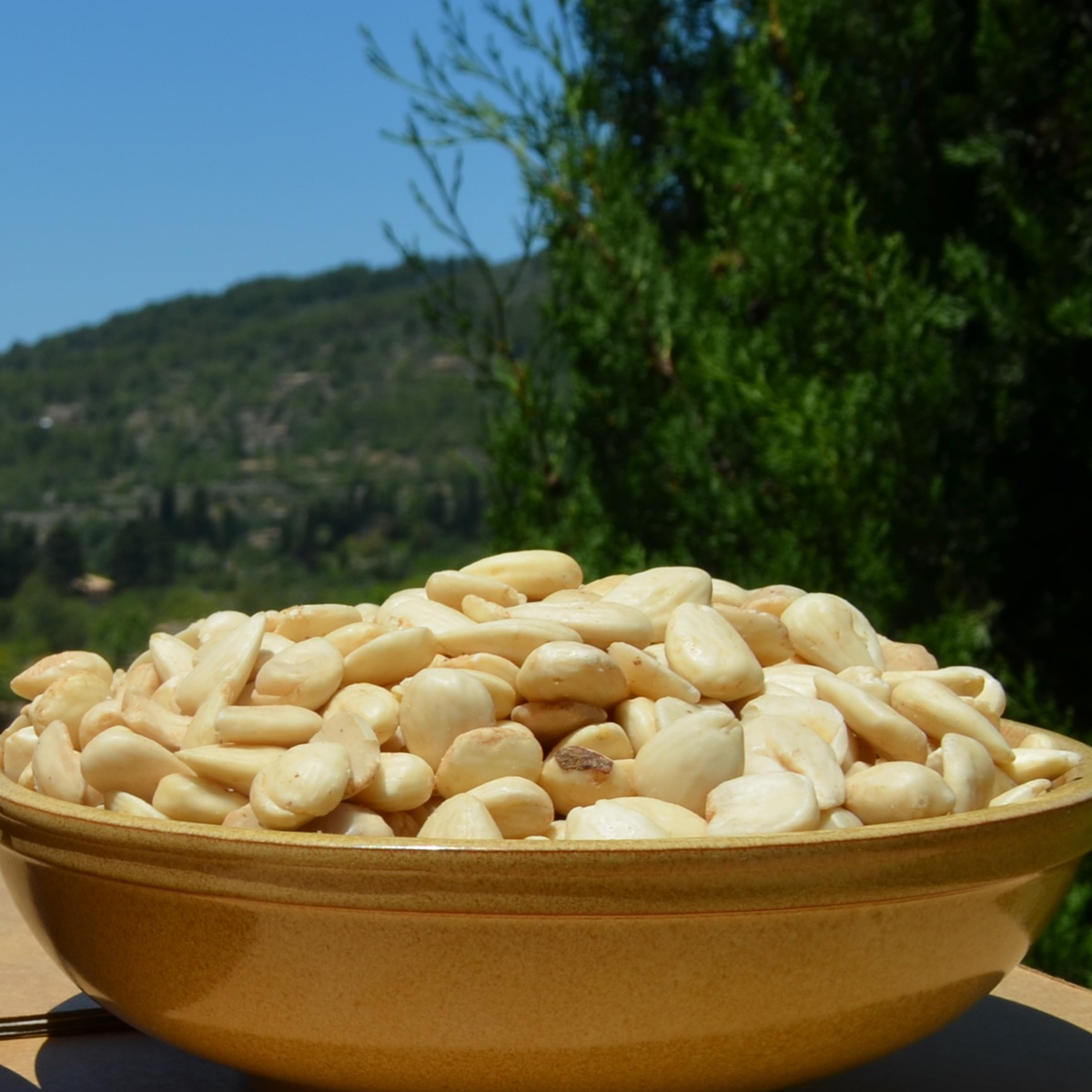 Camp Mallorquí Bio Mandel süß roh geschält 400g