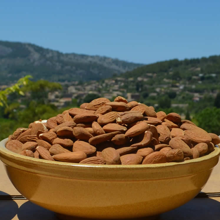 Camp Mallorquí Mallorca Mandel ungeschält 500g