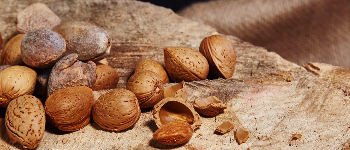 Almendras frescas con cáscara