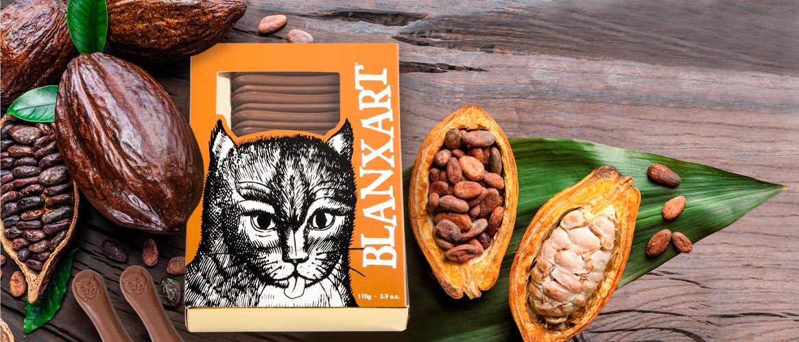 Blanxart Milchschokoladen Katzenzungen