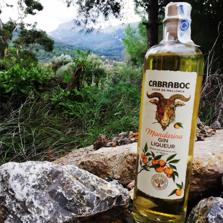Cabraboc Mandarina Gin Licor