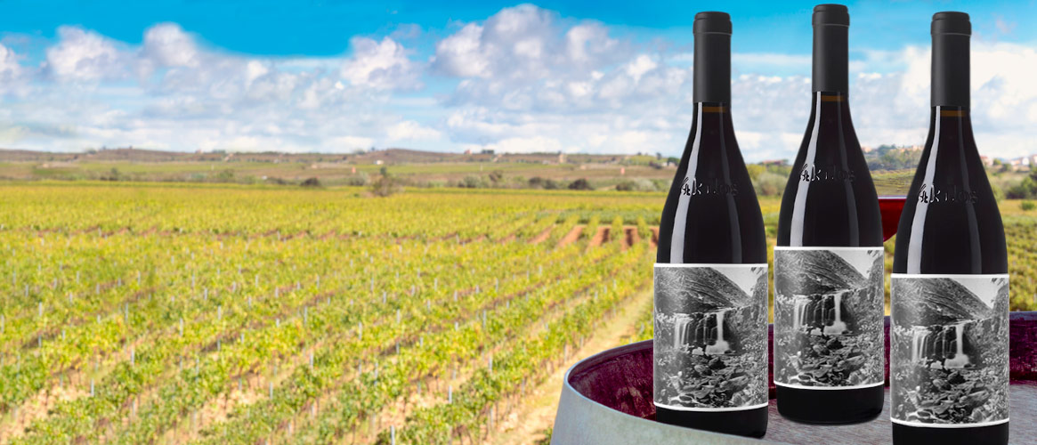 3x 4Kilos Rotwein