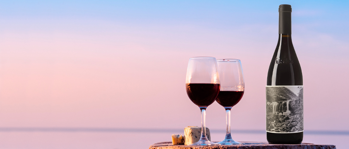 4Kilos Rotwein Vi de la terra de Mallorca