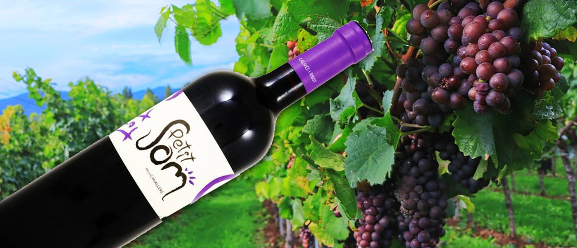 Galmés i Ribot Petit Som organic red wine Vi de la terra Mallorca