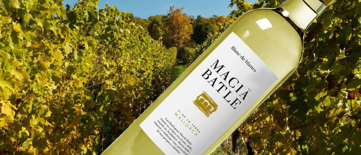 Macià Batle Blanc de Blancs white wine Vi de la Terra Mallorca