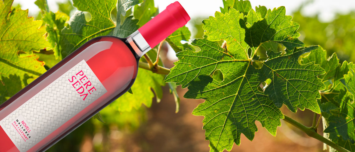 Pere Seda Novell Rosat D.O. Pla i Llevant Roséwein 2021