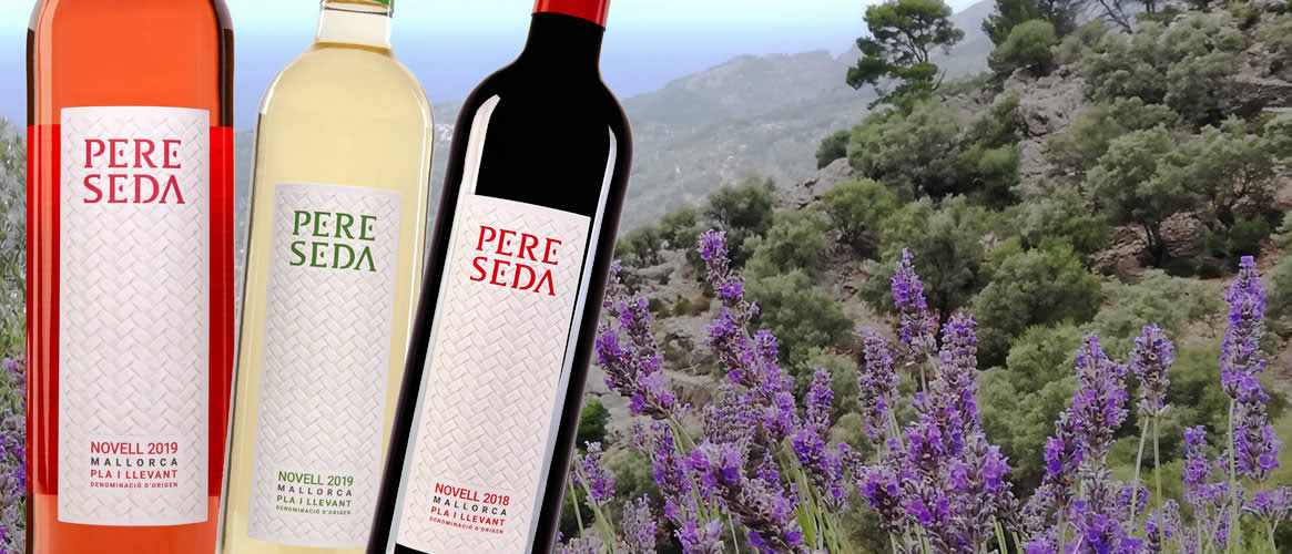 12 x Pere Seda Novell: Blanco, Rosado und Tinto