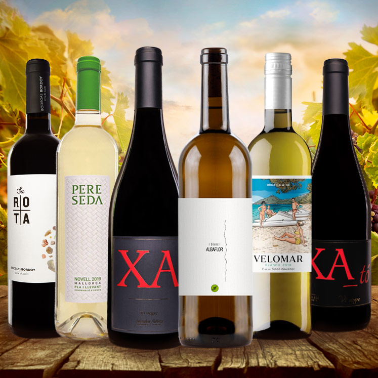 6 x Rotwein und Weißwein