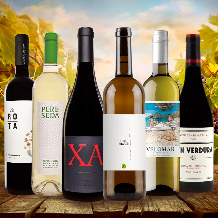 6 x Rotwein und Weißwein