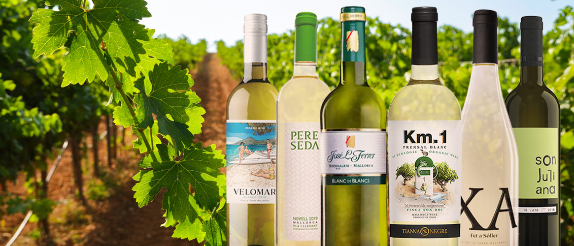 6 x Weißwein