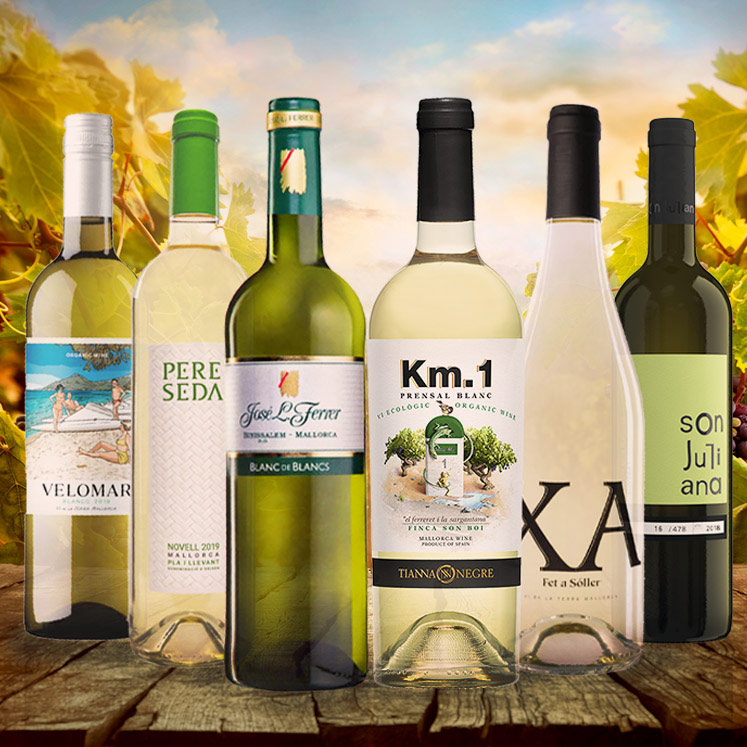 6 x Weißwein