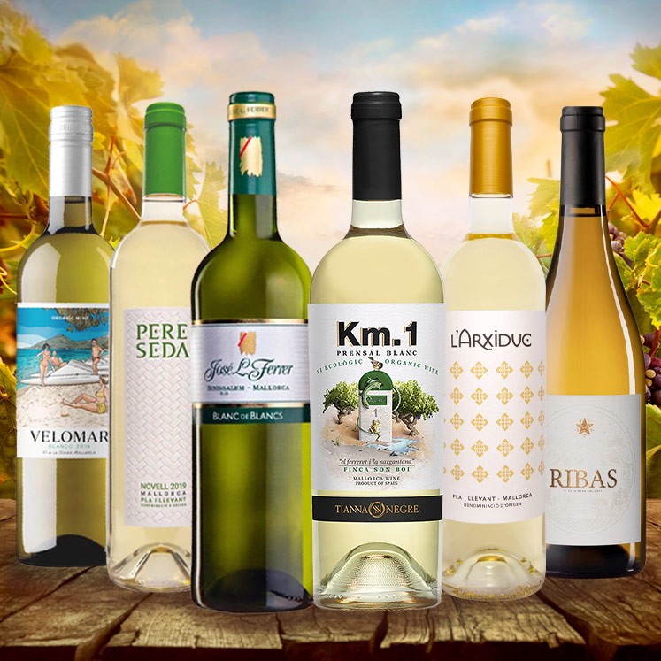 6 x Weißwein