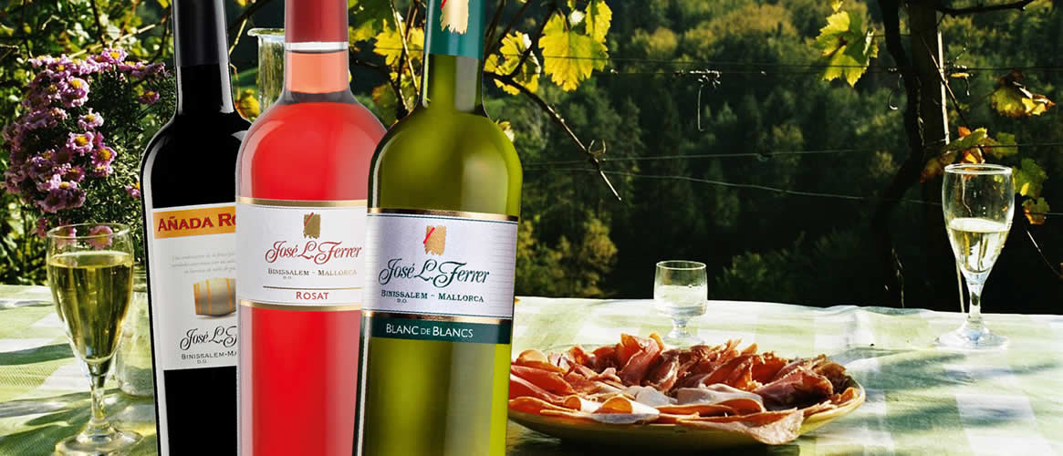Sommer Paket 12 x Wein der Bodegas Ferrer