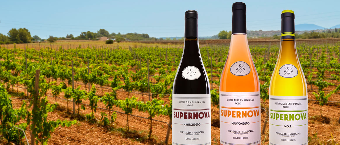 12 x Ca\\'n Verdura Supernova tinto, blanco y rosado D.O. Binissalem