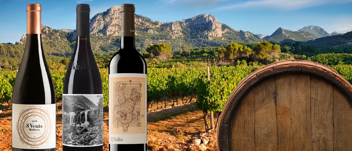 Wein-Probierpaket: 12volts, 4kilos und 8vents – Eine Reise durch Mallorcas Wein