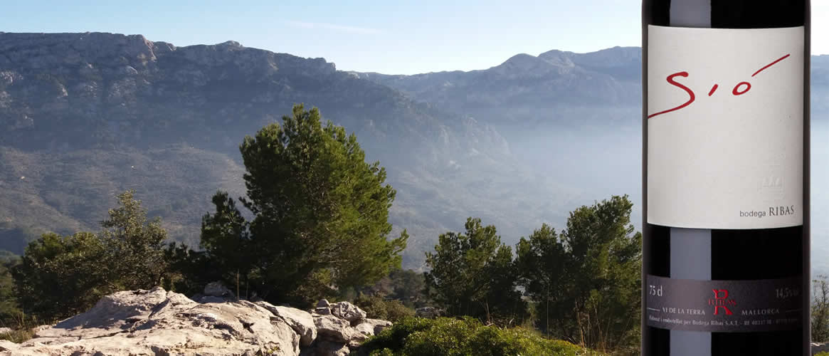 Can Ribas Sió tinto ecológico Vi de la Terra Mallorca