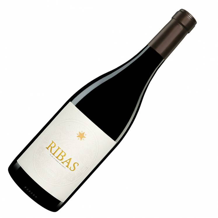 Can Ribas Negre vin rouge BIO Vi de la Terra Mallorca