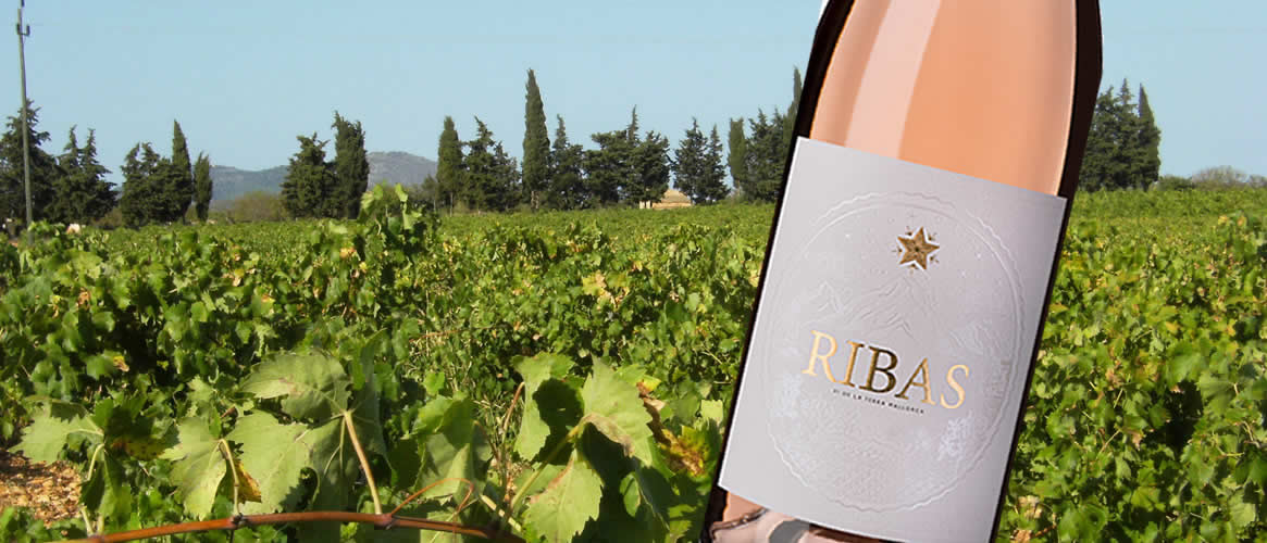 6 x Ribas Rosat Vi de la Terra BIO Roséwein