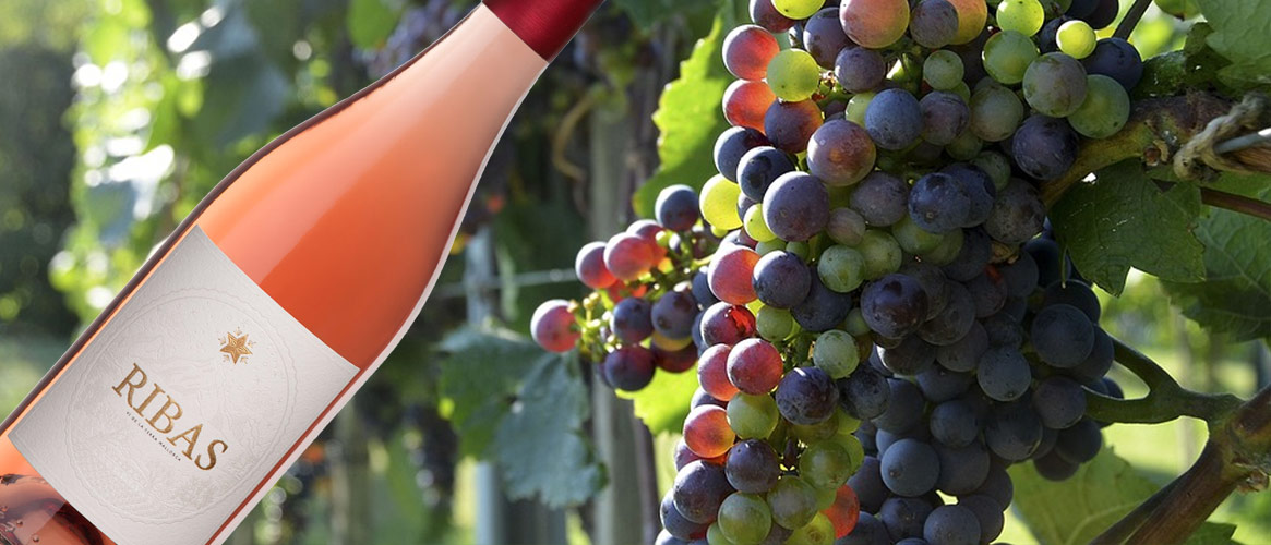 Ribas organic rosé wine Vi de la Terra