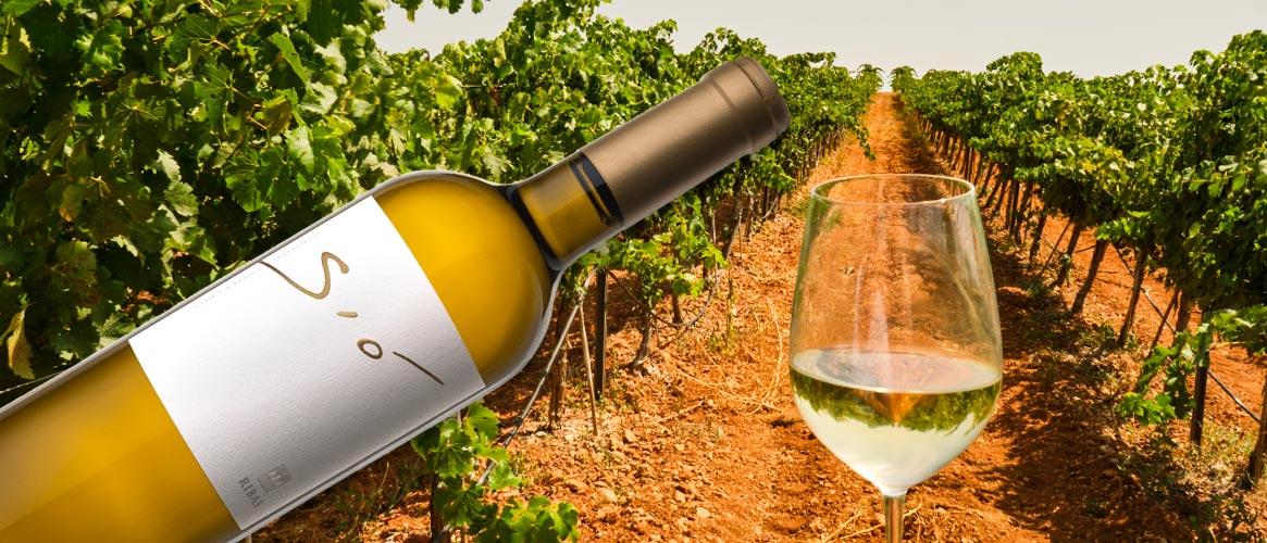 Ribas Sió Bio Weißwein Vi de la Terra Mallorca