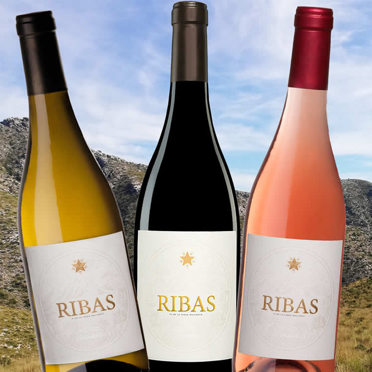 Caja vinos ecológicos C'an Ribas, 12 botellas