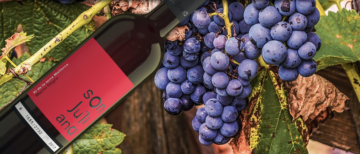 Son Juliana Manto Negro vin rouge bio