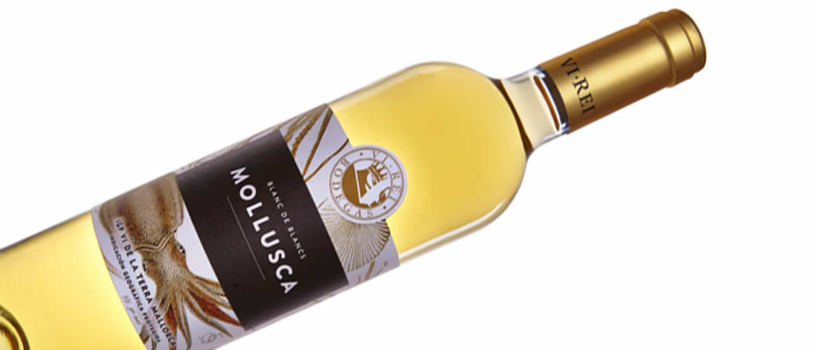 Mollusca Blanco Weißwein Vi de la Terra Mallorca