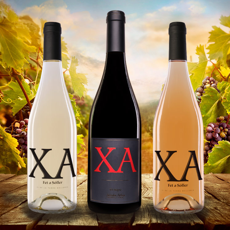 12 x XA Wein gemischt Rosado und Tinto