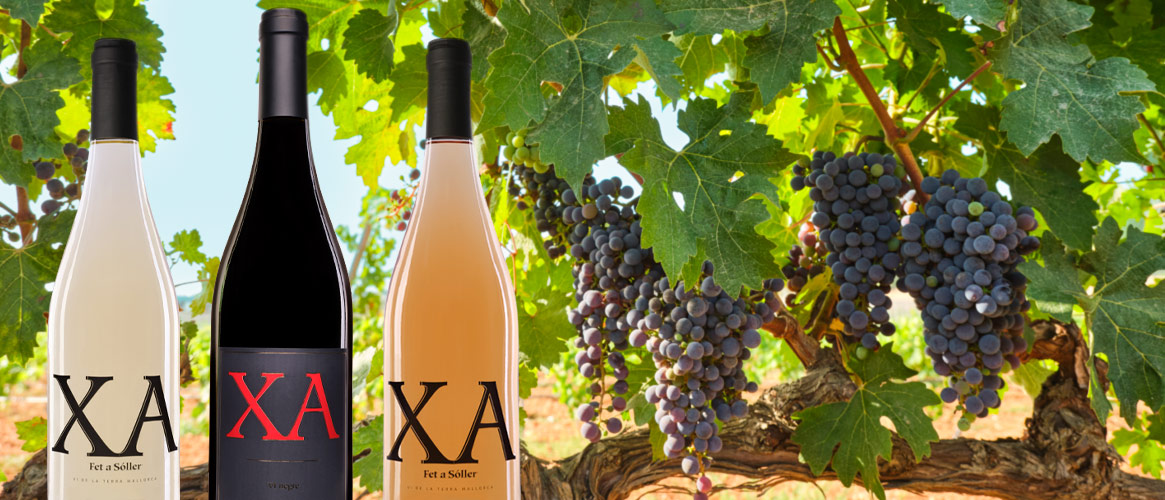 12 x XA Wein gemischt Rosado und Tinto