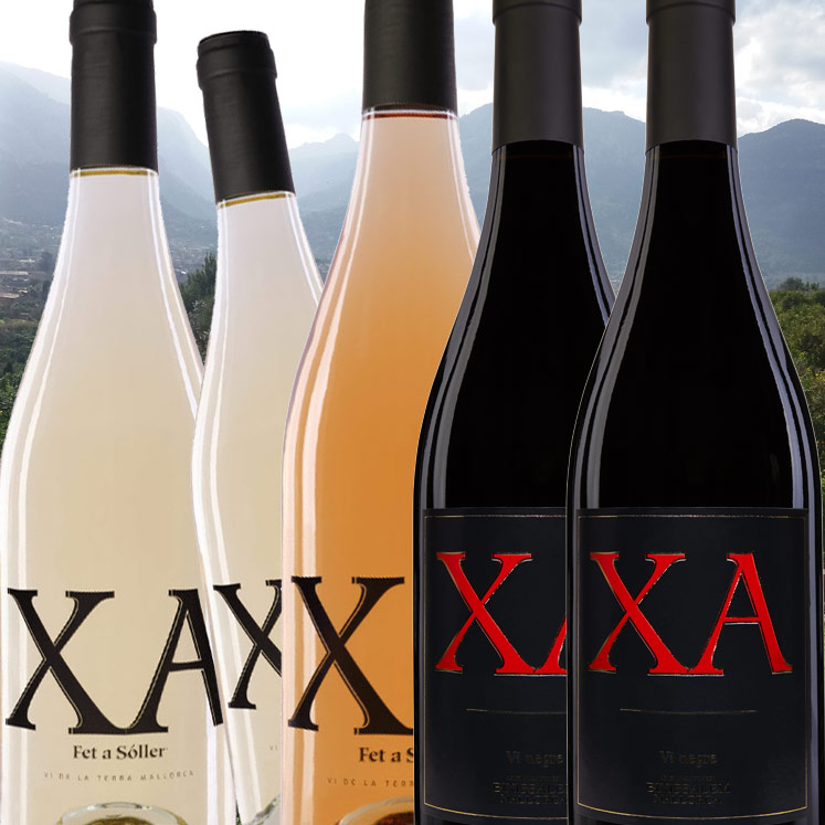 12 x XA Wein gemischt blanco rosado tinto