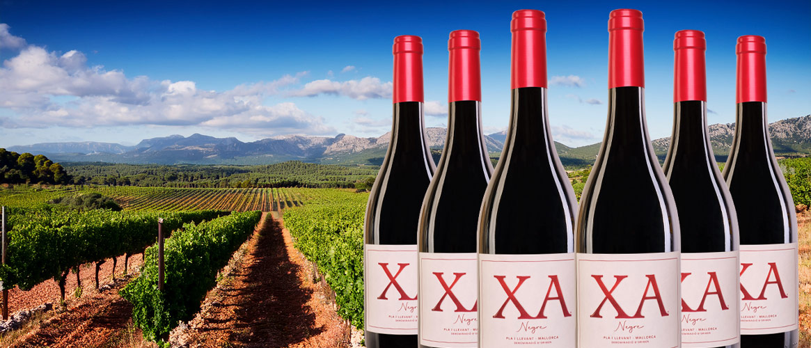 6 x XA Rotwein Pla i Llevant