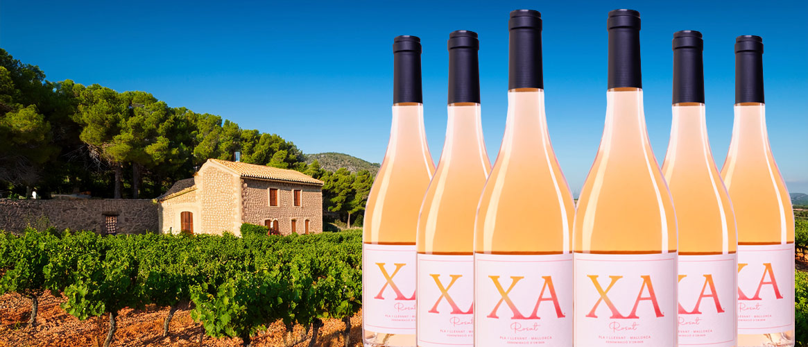 XA Rose Pla i Llevant 6er Pack