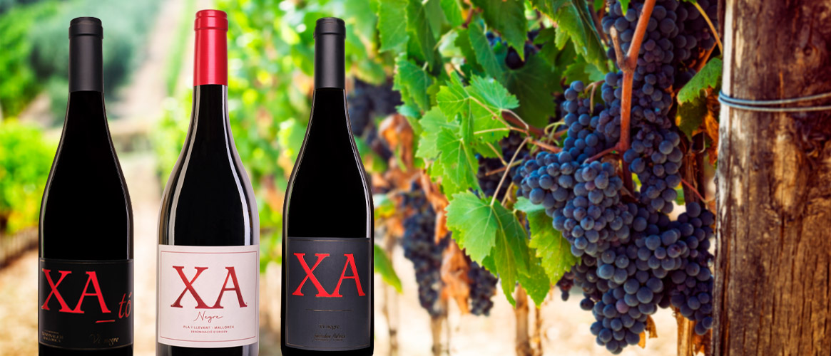 9x XA Rotwein Mischkiste