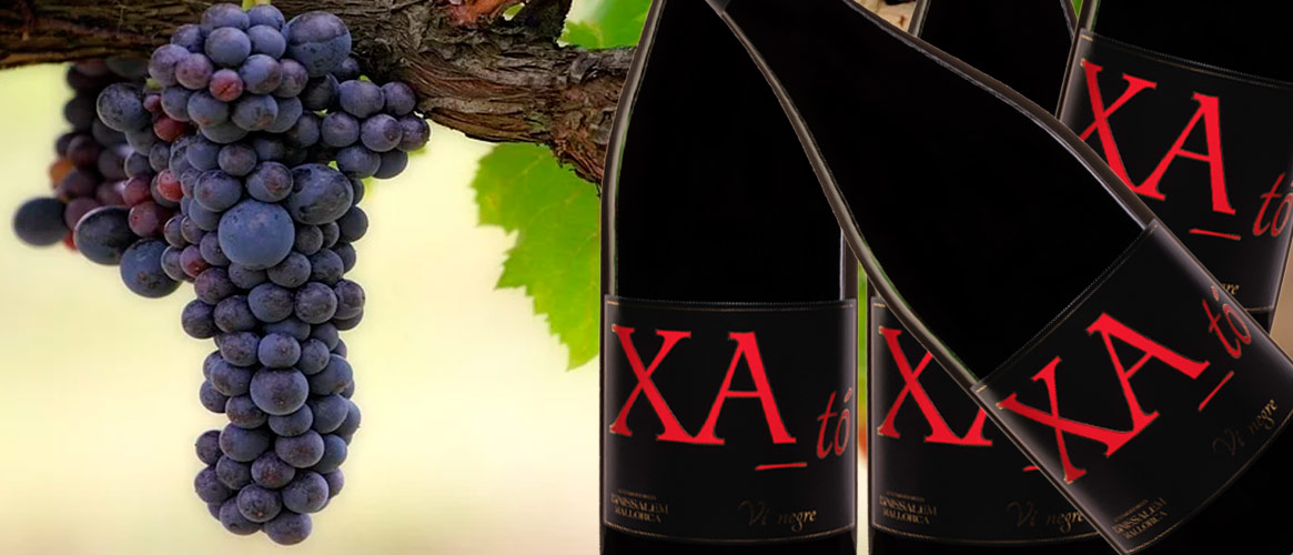 6 x Xa tó negre D.O. Binissalem Rotwein