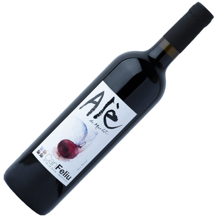 Bouteille vin rouge Merlot