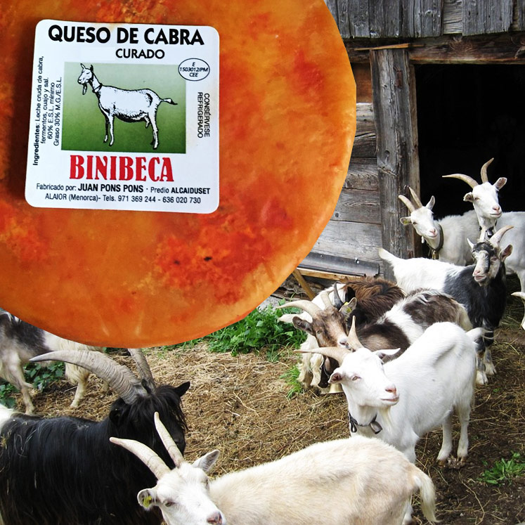 Binibeca Queso de cabra curado