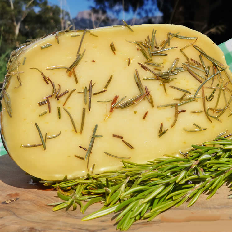 Burguera cowmilk cheese semi mature with rosemary