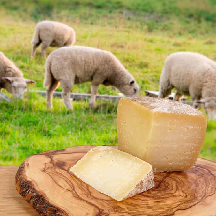 Son Cánaves Queso de oveja curado ecológico