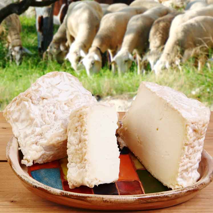 Son Cánaves organic young sheep cheese