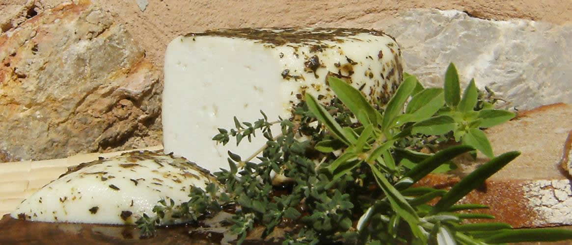 Goat cheese semi matured with herbs