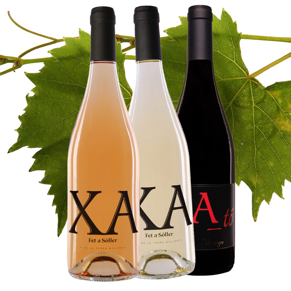 Our house wines XA and XA tó